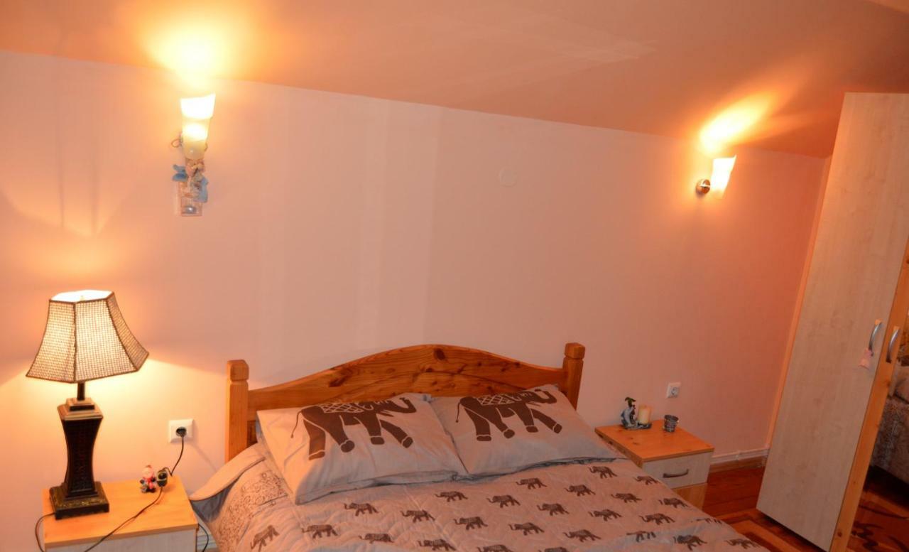 Hotel Casa Piatra Craiului à Zărneşti Extérieur photo